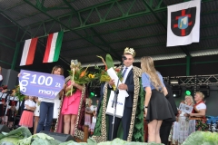 Dni Kapusty 2016 - miechowski.pl - fot. K. Capiga
