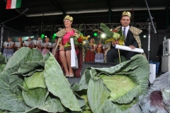 Dni Kapusty 2016 - miechowski.pl - fot. K. Capiga