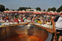 Dni Kapusty 2016 - miechowski.pl - fot. K. Capiga