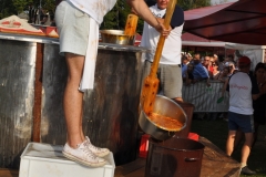 Dni Kapusty 2016 - miechowski.pl - fot. K. Capiga