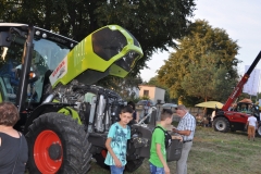 Dni Kapusty 2016 - miechowski.pl - fot. K. Capiga