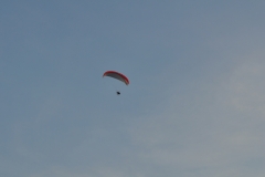 Dni Kapusty 2016 - miechowski.pl - fot. K. Capiga