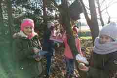 IMG_20191211_112651