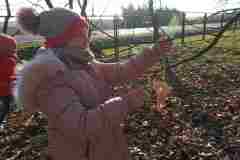 IMG_20191211_112725