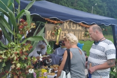 Gminne Dożynki w Książu Wielkim - miechowski.pl - fot. K. Capiga