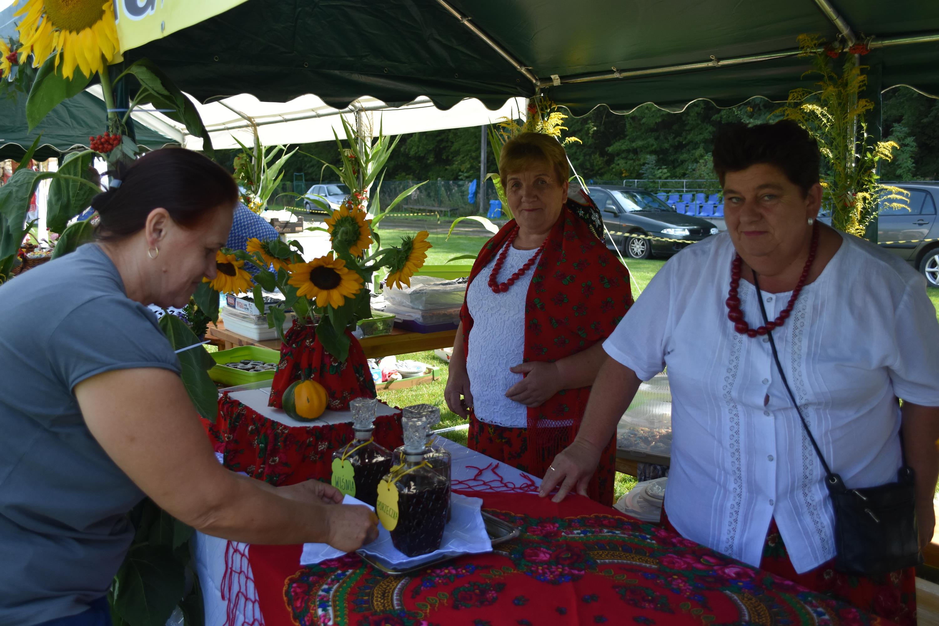 doynki_gminne_2019_i_kiermasz_produktow_regionalnych_w_ksiu_wielkim_7_20190820_1929485702
