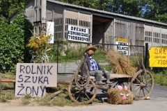 Dożynki Powiatowe i Gołeckie Żniwogranie w Przybysławicach - miechowski.pl