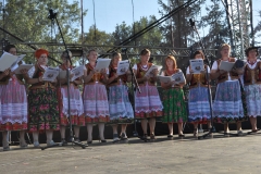 Dożynki Powiatowe i Gołeckie Żniwogranie w Przybysławicach - miechowski.pl