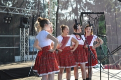 Dożynki Powiatowe i Gołeckie Żniwogranie w Przybysławicach - miechowski.pl