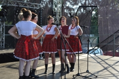 Dożynki Powiatowe i Gołeckie Żniwogranie w Przybysławicach - miechowski.pl