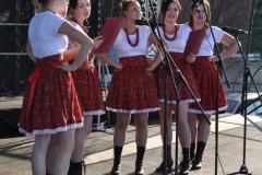 Dożynki Powiatowe i Gołeckie Żniwogranie w Przybysławicach - miechowski.pl
