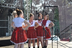 Dożynki Powiatowe i Gołeckie Żniwogranie w Przybysławicach - miechowski.pl