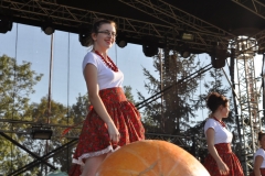 Dożynki Powiatowe i Gołeckie Żniwogranie w Przybysławicach - miechowski.pl