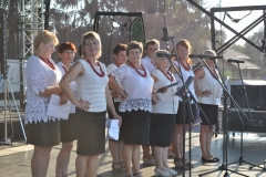 Dożynki Powiatowe i Gołeckie Żniwogranie w Przybysławicach - miechowski.pl