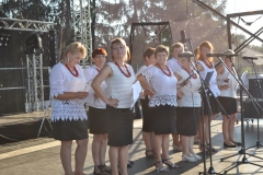 Dożynki Powiatowe i Gołeckie Żniwogranie w Przybysławicach - miechowski.pl