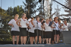 Dożynki Powiatowe i Gołeckie Żniwogranie w Przybysławicach - miechowski.pl