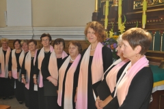 XVII Dożynki Powiatu Miechowskiego - Kozłów 2017 - fotoreportaż - K. Capiga