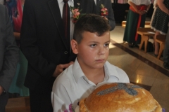 XVII Dożynki Powiatu Miechowskiego - Kozłów 2017 - fotoreportaż - K. Capiga