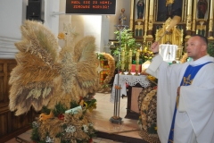 XVII Dożynki Powiatu Miechowskiego - Kozłów 2017 - fotoreportaż - K. Capiga
