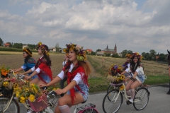 XVII Dożynki Powiatu Miechowskiego - Kozłów 2017 - fotoreportaż - K. Capiga