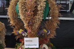 XVII Dożynki Powiatu Miechowskiego - Kozłów 2017 - fotoreportaż - K. Capiga