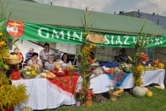 XVII Dożynki Powiatu Miechowskiego - Kozłów 2017 - fotoreportaż - K. Capiga