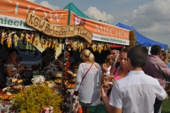 XVII Dożynki Powiatu Miechowskiego - Kozłów 2017 - fotoreportaż - K. Capiga