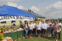 XVII Dożynki Powiatu Miechowskiego - Kozłów 2017 - fotoreportaż - K. Capiga