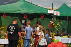 XVII Dożynki Powiatu Miechowskiego - Kozłów 2017 - fotoreportaż - K. Capiga