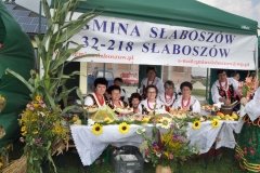 XVII Dożynki Powiatu Miechowskiego - Kozłów 2017 - fotoreportaż - K. Capiga