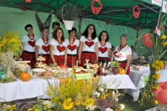 XVII Dożynki Powiatu Miechowskiego - Kozłów 2017 - fotoreportaż - K. Capiga