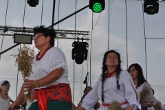 XVII Dożynki Powiatu Miechowskiego - Kozłów 2017 - fotoreportaż - K. Capiga