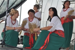 XVII Dożynki Powiatu Miechowskiego - Kozłów 2017 - fotoreportaż - K. Capiga