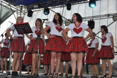 XVII Dożynki Powiatu Miechowskiego - Kozłów 2017 - fotoreportaż - K. Capiga