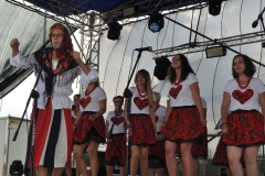 XVII Dożynki Powiatu Miechowskiego - Kozłów 2017 - fotoreportaż - K. Capiga