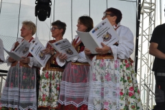 XVII Dożynki Powiatu Miechowskiego - Kozłów 2017 - fotoreportaż - K. Capiga