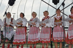 XVII Dożynki Powiatu Miechowskiego - Kozłów 2017 - fotoreportaż - K. Capiga
