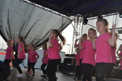 XVII Dożynki Powiatu Miechowskiego - Kozłów 2017 - fotoreportaż - K. Capiga