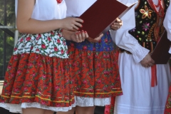 Reprezentacja gminy Książ Wielki na Dożynkach Powiatowych w Przybysławicach - miechowski.pl