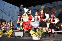 2023-Dozynki-Powiatowe-Przybyslawice-43