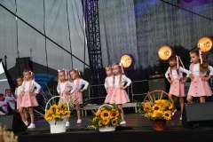 2023-Dozynki-Powiatowe-Przybyslawice-52