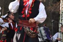 Miechowiacy na inaugurację Dożynek Wojewódzkich Miechów 2016 - miechowski.pl