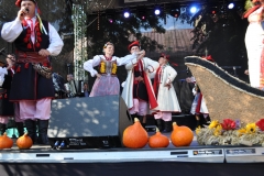 Miechowiacy na inaugurację Dożynek Wojewódzkich Miechów 2016 - miechowski.pl