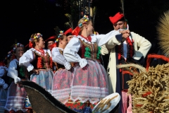 Miechowiacy na inaugurację Dożynek Wojewódzkich Miechów 2016 - miechowski.pl