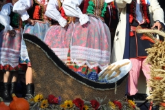 Miechowiacy na inaugurację Dożynek Wojewódzkich Miechów 2016 - miechowski.pl