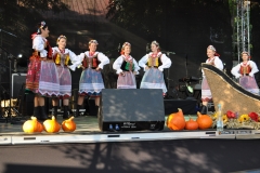 Miechowiacy na inaugurację Dożynek Wojewódzkich Miechów 2016 - miechowski.pl