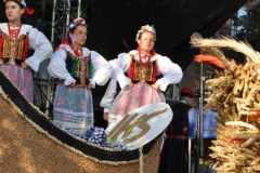 Miechowiacy na inaugurację Dożynek Wojewódzkich Miechów 2016 - miechowski.pl