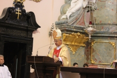 Dożynki Województwa Małopolskiego - miechowski.pl - fot. W. Pengiel