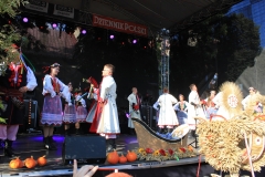 Dożynki Województwa Małopolskiego - miechowski.pl - fot. W. Pengiel