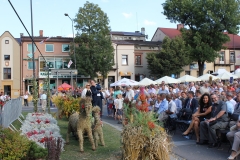 Dożynki Województwa Małopolskiego - miechowski.pl - fot. W. Pengiel